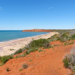 Down below the birds gather to fish