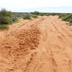Deep, soft sand tracks