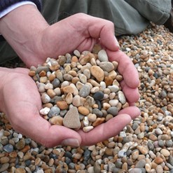 Shingle from Chesil Beach