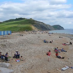 The beach at Charmouth 