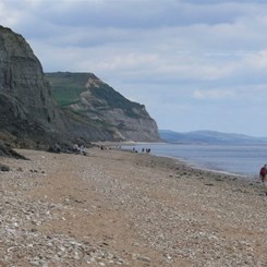 Charmouth beach, fossil beds and Golden Cap.