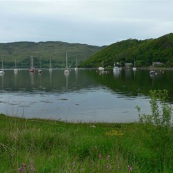 Tranquil boats and cottages.