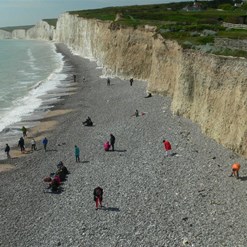 Hunting for fossils as the tide goes out.