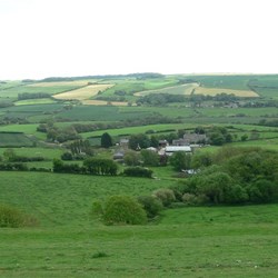 Purbeck hills patchwork.
