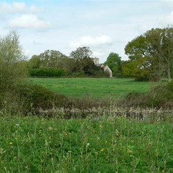 Cambridgeshire scene.