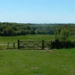 Battle of Hastings site, possibly..
