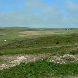 Chalk Downs