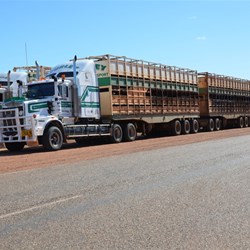 Road trains at Burke & Wills Roadhouse