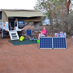 Early morning at Adels Grove