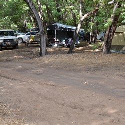 The Grove camping area