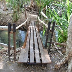 Foot bridge over Lawn Hill Creek