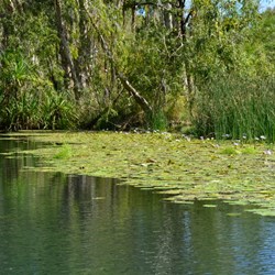 On the water at Lawn Hill