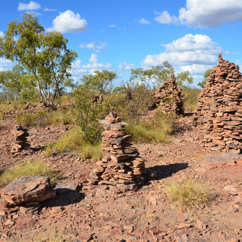 Hiking at Adels Grove