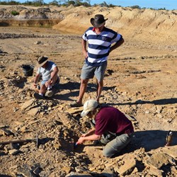 Fossil Hunting Site 1