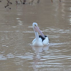 Right in front of our camp