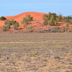 Then out of no where, this large sand dune