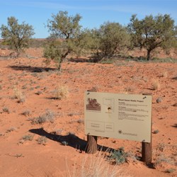 Mount Gason Wattle Project