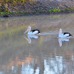 Early next morning on the Cooper