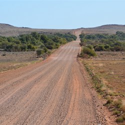 Heading down the Strzelecki Track