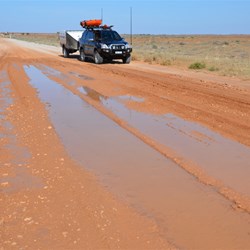 There were a couple of puddles on the Birdsville Track