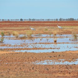 North of Clifton Hills