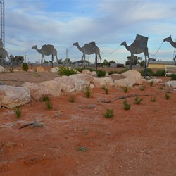 Birdsville