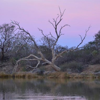 The end of a perfect day in Birdsville