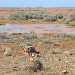 There were many areas still under water on the side of the track 