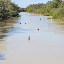 Eyre Creek at Glengyle Bridge