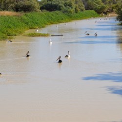 Eyre Creek at Glengyle Bridge