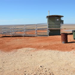 Vaughan Johnson Lookout