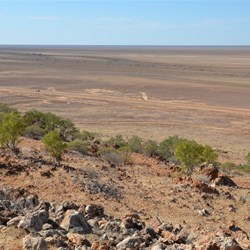 Vaughan Johnson Lookout