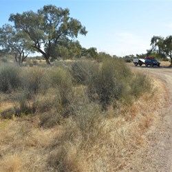 Lunch stop at the Cooper Creek Crossing