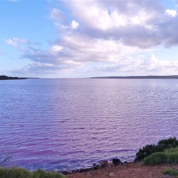 The Pink Lake