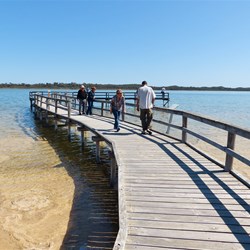 Boardwalk to view the thrombolites