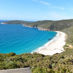 View of Shelly Beach from the lookout