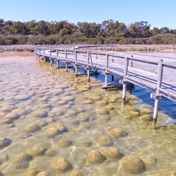 Can you believe they are living and breathing?