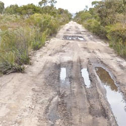 Dirty, sloshy, muddy!