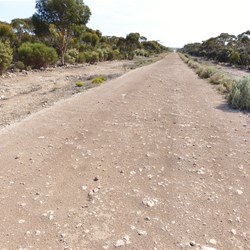 Balladonia Tk - ROUGH limestone