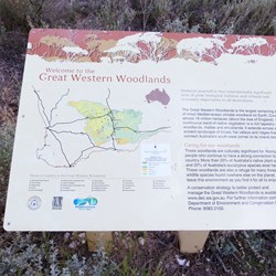 Great Western Woodlands