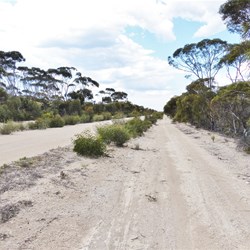 The side track was a better run