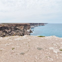 Out on the cliffs along the Nullabor