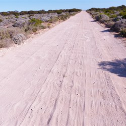 ROUGH limestone track into Fowler's Bay Con Pk