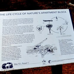 Woodlands rest area signage