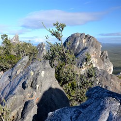 views from on top of East Mt Barren 