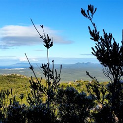 views from East Mt Barren walk
