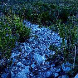 looking back down the hill towards the car park along the very rough track