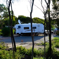 parked in our site at the campground