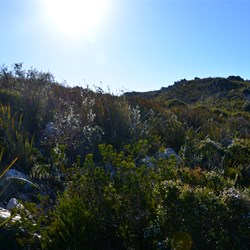 John disappearing over the top of some rocks on the walk to the summit of East Mount Barren