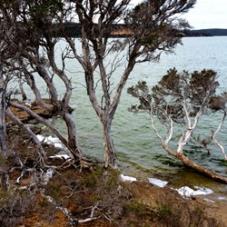 views from Millers Point